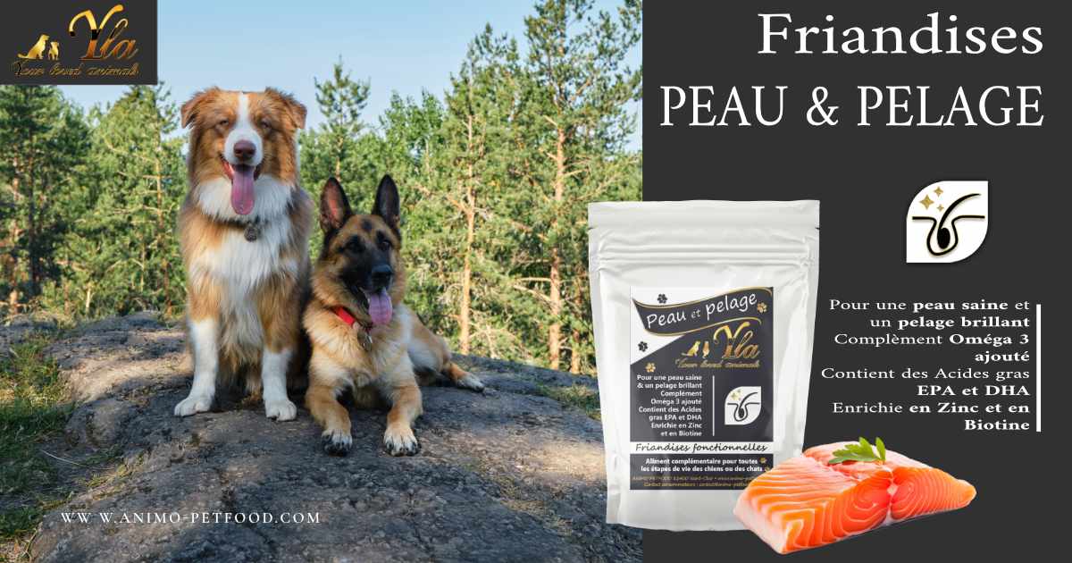 friandises-peau-et-pelage-avec-acides-gras-omega-3-pour-chien